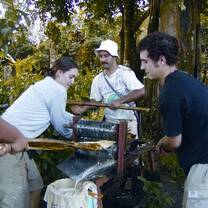 ICADS students learn about sugar cane and its historical role in Costa Rica. 