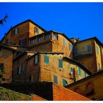 History, art, culture, and service in Siena with SAI Programs