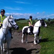 Students observing horses grazing in a scenic Scottish Highland meadow during the equine summer study program.