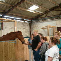 Student feeding horses and maintaining stables, learning practical equine care skills in Scotland.