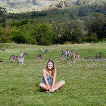 Kangaroos live on the University of Canberra Campus!