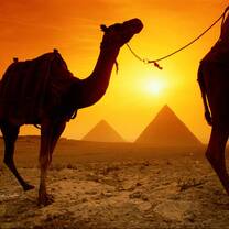 ITTT TEFL Course in Egypt