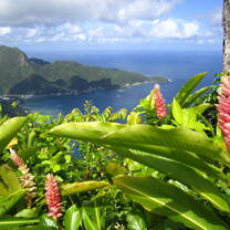 The colorful nature of American Samoa