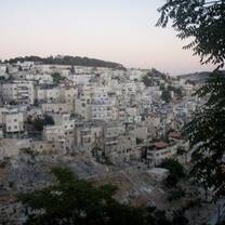 A VFP volunteer photographed this beautiful view in Palestine