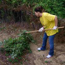 Environmental project in Italy