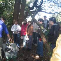 Volunteers on an environmental project in England