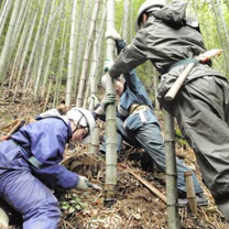 VFP Volunteers work on an environmental project in Japan