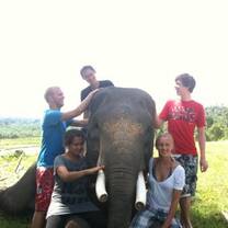 VFP volunteers care for Elephants on a project in Indonesia