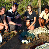Small Volunteer Groups