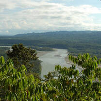 Peru Jungle conservation