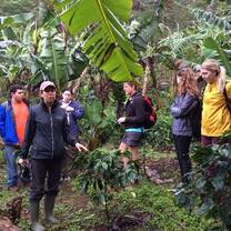 Volunteers On a Tour of the Coffee Farm