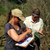 Checking, Setting Up and Maintaining Camera Traps