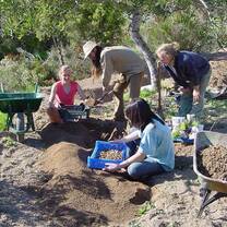 Help with the garden projects in Spain