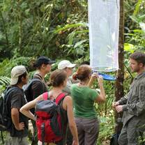 volunteer amazon peru manu