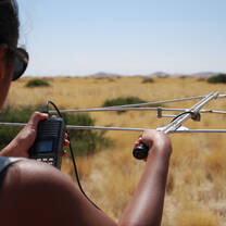 Carnivore Conservation in Namibia