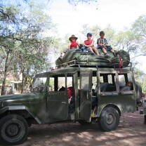 desert elephant namibia volunteer