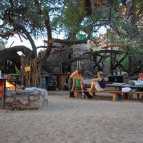 desert elephant namibia volunteer