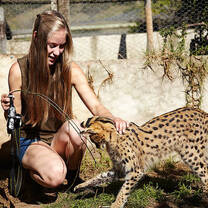 Voluntair - Animal rescue, South Africa