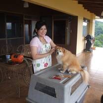 Animal Rescue in Costa Rica