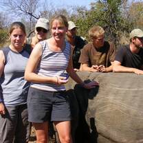 Rhino darting for relocation
