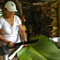Work Projects in the Rainforest