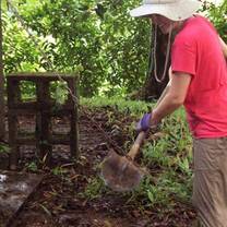 Saving the Costa Rican Rainforest