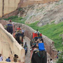 Elephant ride in India