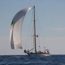 Dolphin research vessel
