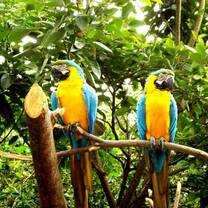 wildlife conservation volunteering in Ecuador 